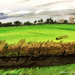 Countryside (painting)