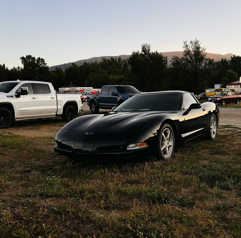 C5 Corvette  by colewallace