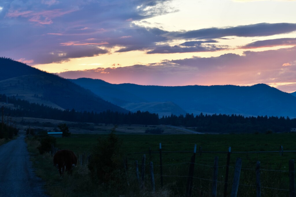 Dusk On The Bench by bjywamer