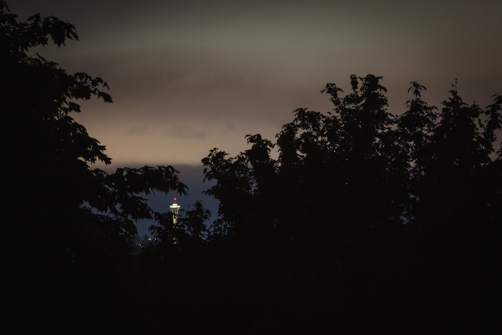 Eerie Night Space Needle View by tina_mac