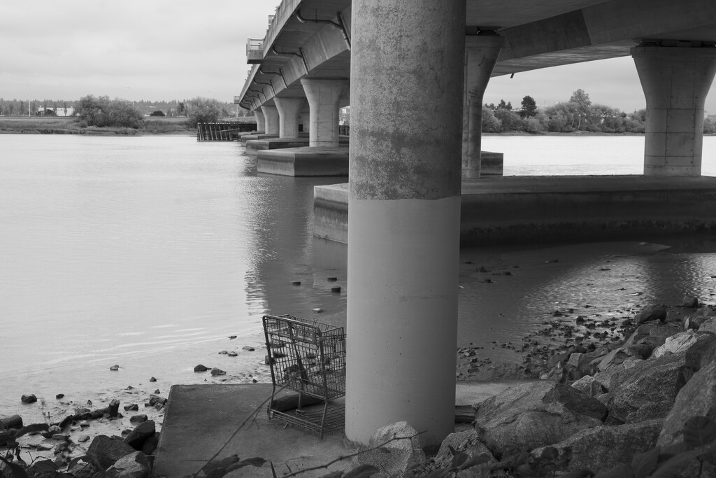 Dinsmore Bridge sooc by cdcook48