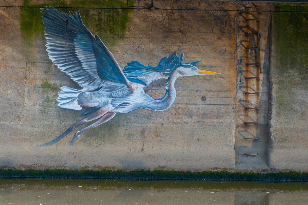 Grey Heron Mural by lumpiniman