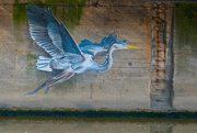 8th Sep 2024 - Grey Heron Mural