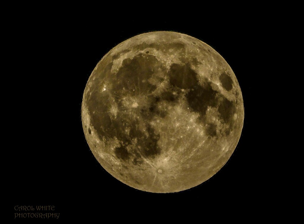 Last Night's Full Super Moon by carolmw