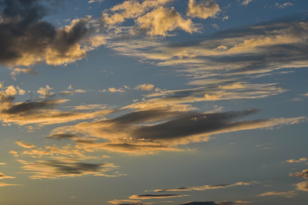 Evening Cloudscape by bjywamer