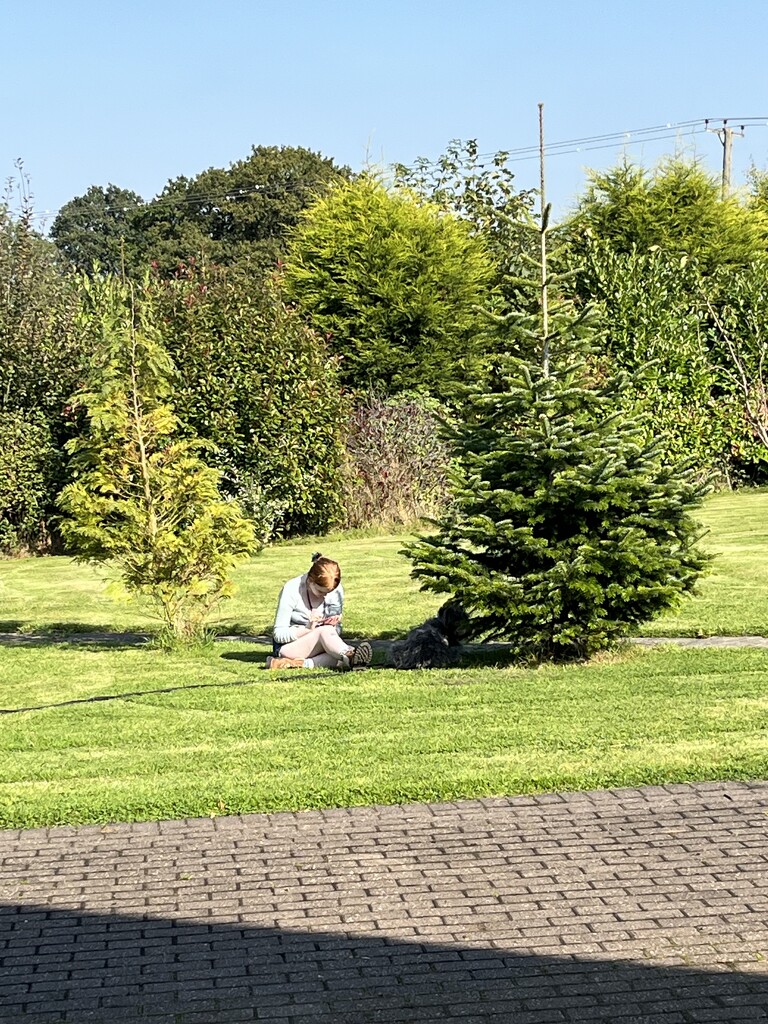 Daughter and dog in the sun by helenawall