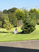 18th Sep 2024 - Daughter and dog in the sun