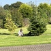 Daughter and dog in the sun