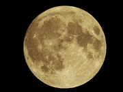 18th Sep 2024 - Harvest Supermoon