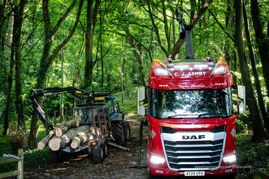 Local log collection by nigelrogers