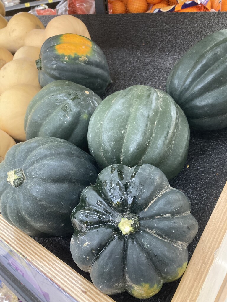 Green Gourds by spanishliz