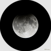 17th Sep 2024 - Lunar Eclipse Sept 17