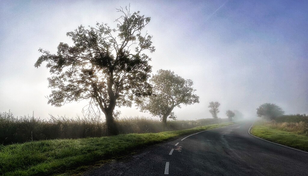 Misty Road by carole_sandford