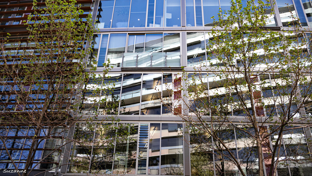 Three red windows reflected by ankers70