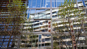 19th Sep 2024 - Three red windows reflected