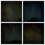 17th Sep 2024 - Glimpse of Northern Lights 