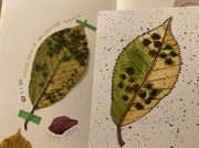 16th Sep 2024 - painting leaves