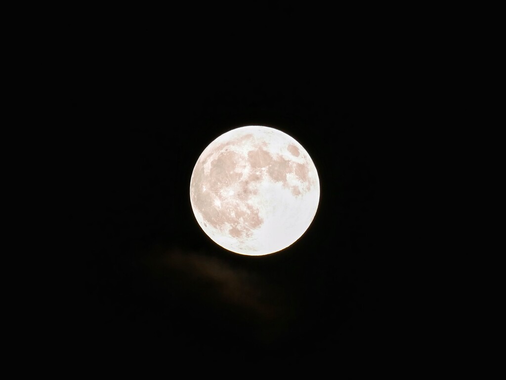 Harvest Supermoon by ljmanning