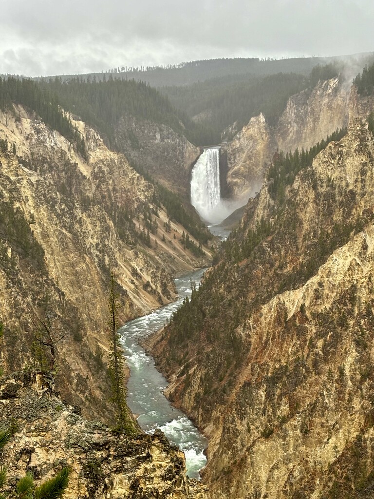 Yellowstone Canyon by pirish