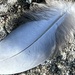 Feather Soft on Hard Rock