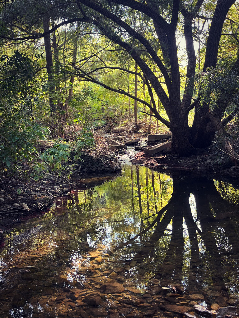 Sunlite Stream by pdulis