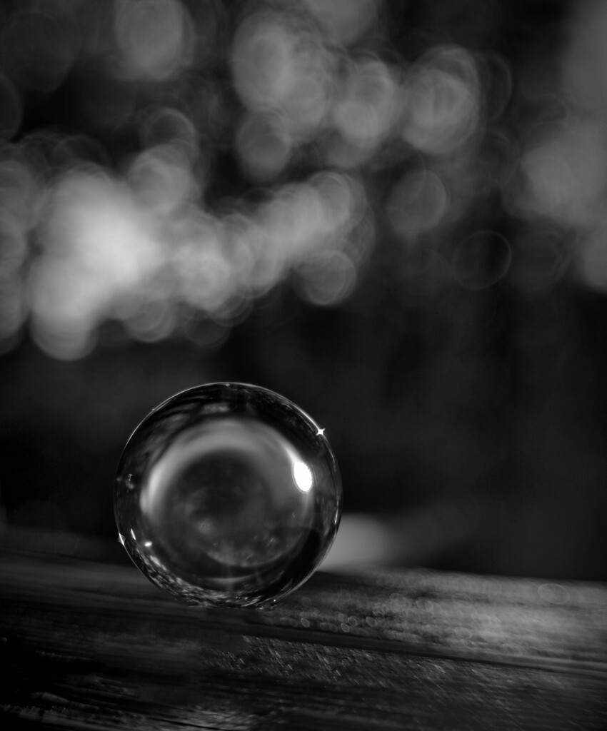 Bokeh and Circle by joysabin