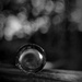 Bokeh and Circle by joysabin