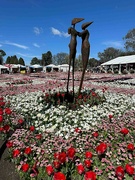 19th Sep 2024 - Sculpture in the flowers