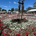 Sculpture in the flowers