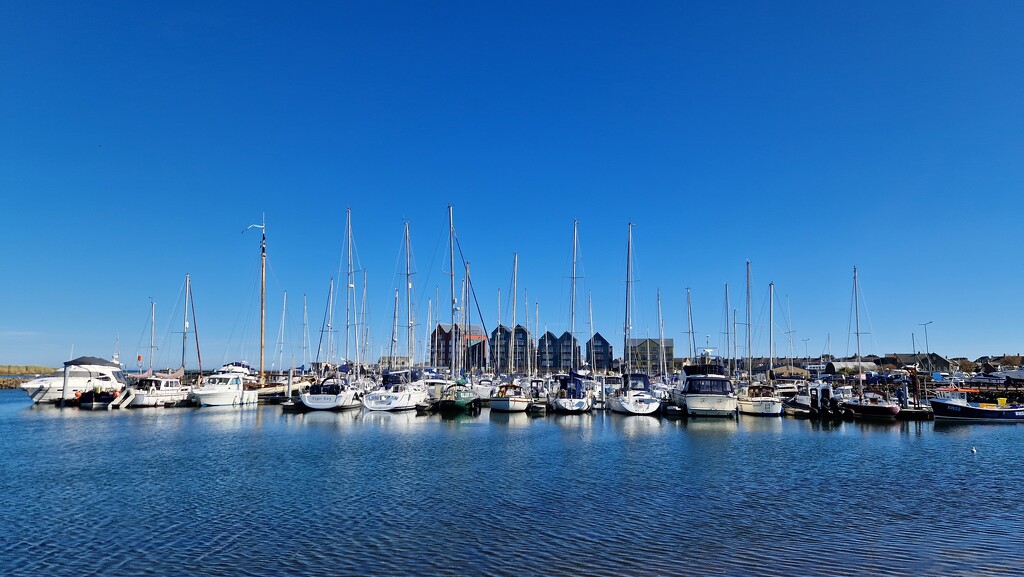 Amble harbour by bunnymadmeg