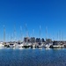 Amble harbour by bunnymadmeg