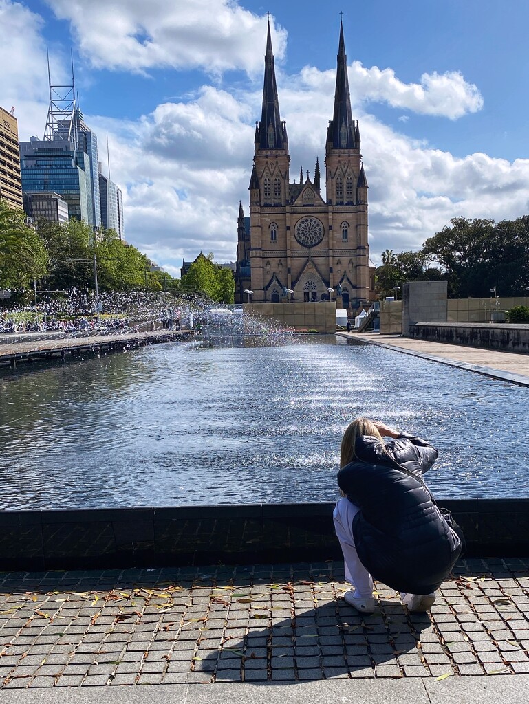 St Mary’s Cathedral Sydney by johnfalconer