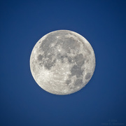 19th Sep 2024 - Full moon