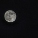 Full Moon