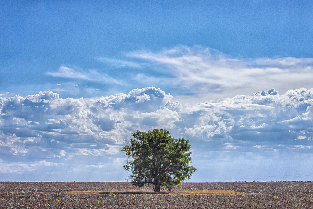 clouds by aecasey