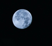 19th Sep 2024 - Only Once In A Blue Moon...