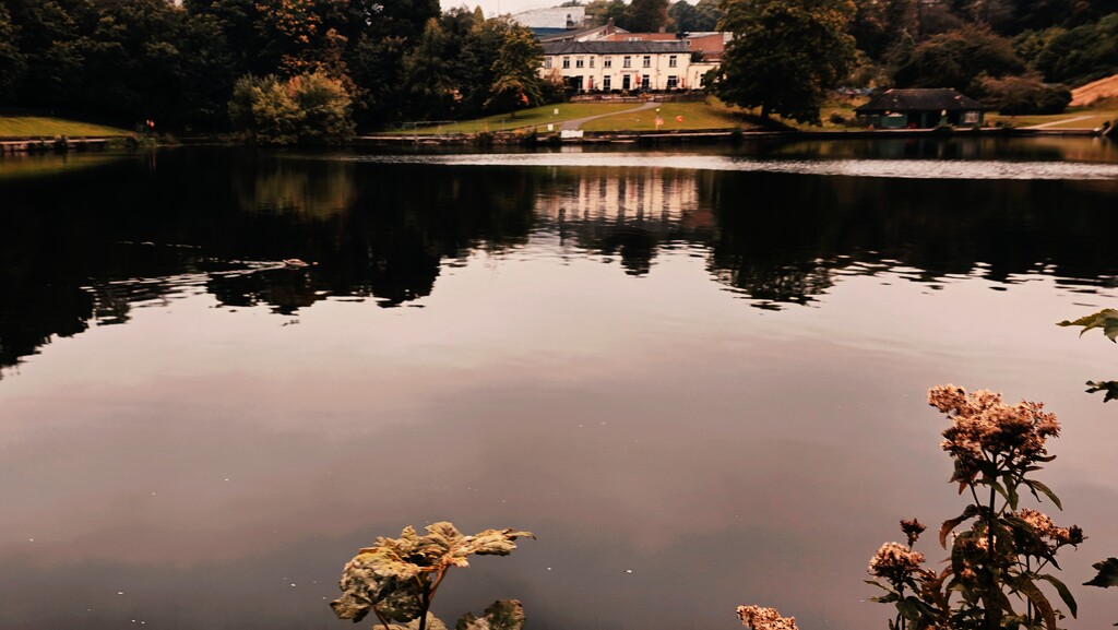 263/366 - Crookes Valley Park  by isaacsnek