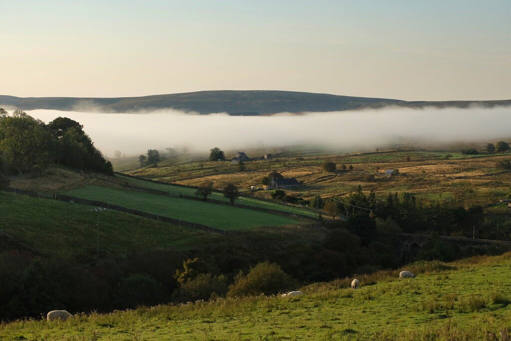 morning mist by minsky365