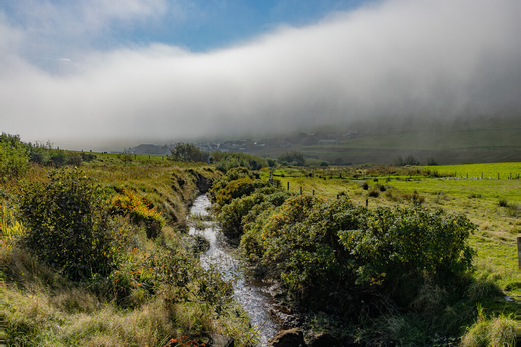 Fog Descending by lifeat60degrees