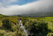 19th Sep 2024 - Fog Descending