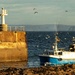 Returning to Pittenweem harbour…..