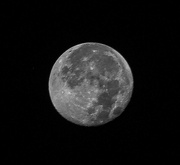 19th Sep 2024 - Morning full moon