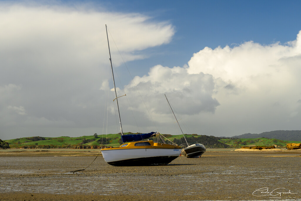 Popeye is stranded by yorkshirekiwi