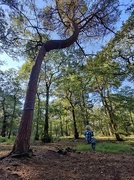 19th Sep 2024 - Forest School