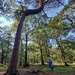 Forest School