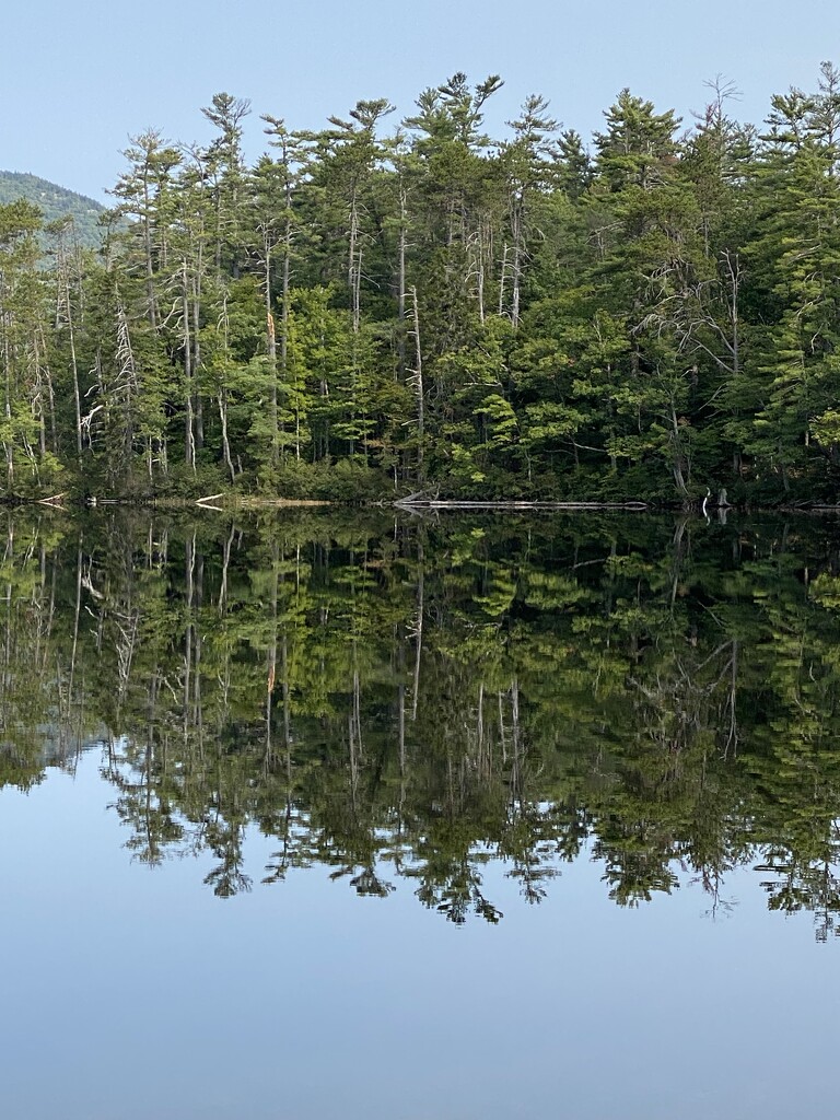 The lake by huger