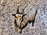 20th Sep 2024 - The goat (painting)