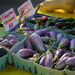 Fairy Tale Eggplant - anyone ever heard of or tasted this?