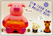 19th Sep 2024 - Talk Like a Pirate Day