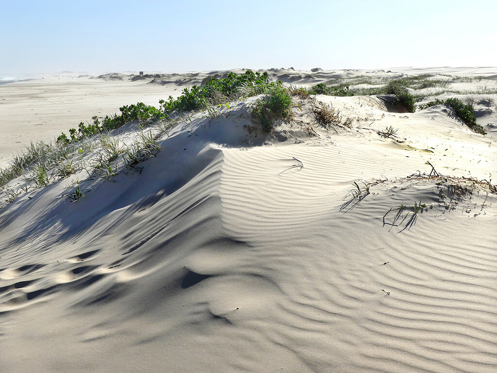 Patterns in the Sand by onewing